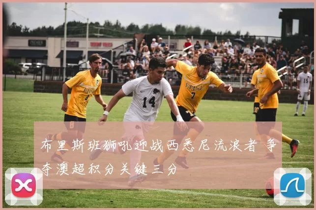 布里斯班狮吼迎战西悉尼流浪者 争夺澳超积分关键三分
