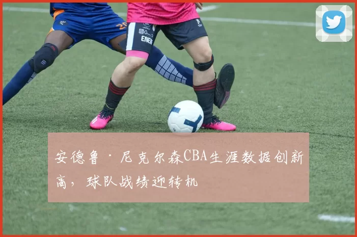 安德鲁·尼克尔森CBA生涯数据创新高，球队战绩迎转机