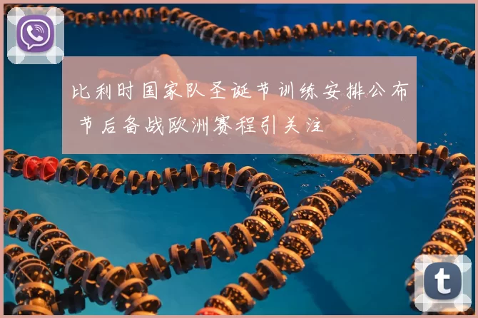 比利时国家队圣诞节训练安排公布 节后备战欧洲赛程引关注