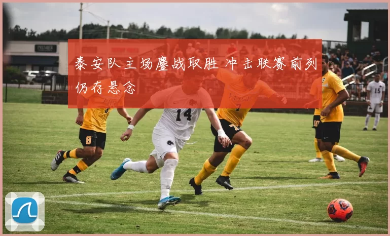 泰安队主场鏖战取胜 冲击联赛前列仍存悬念