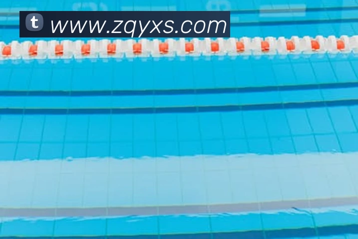 ky体育官网app登录入口平台生态图