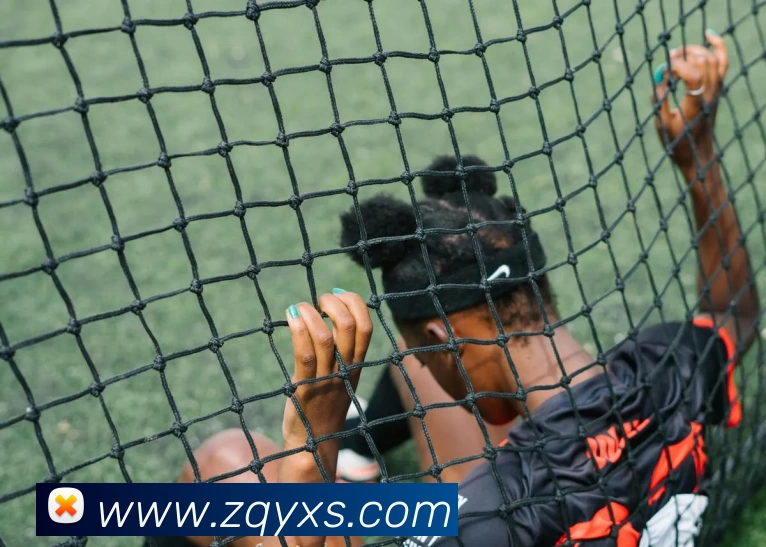 ky体育官网app登录入口APP 封面图